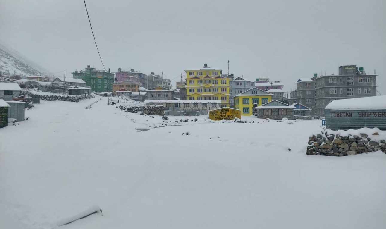 रसुवाको उत्तरी भेगमा हिमपात