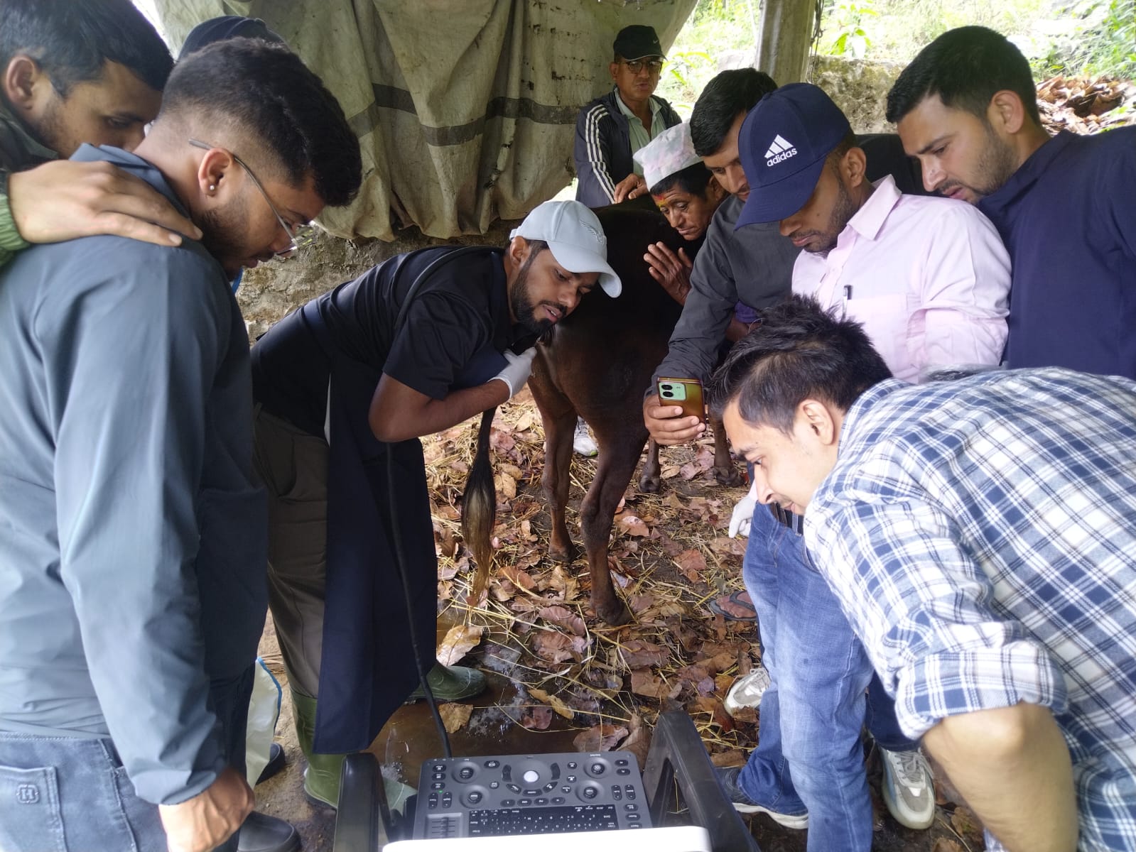 रसुवामा पहिलो पटक भिडियो एक्स–रे प्रविधिबाट पशुहरूको स्वास्थ्य परीक्षण