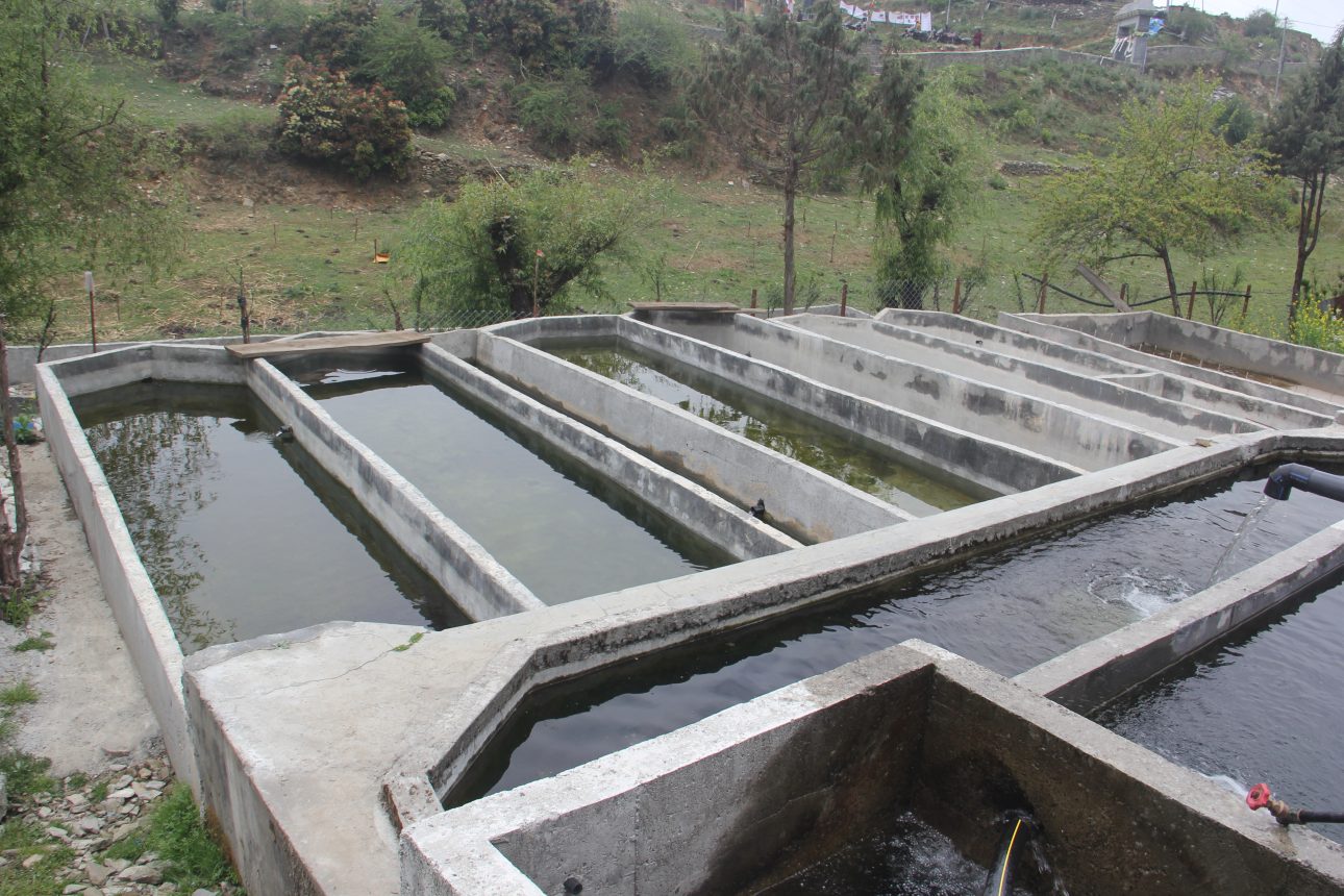 पार्वतीकुण्ड क्षेत्रमा रेन्बो ट्राउट माछापालन, कृषि र पर्यटन प्रवर्द्धनमा टेवा
