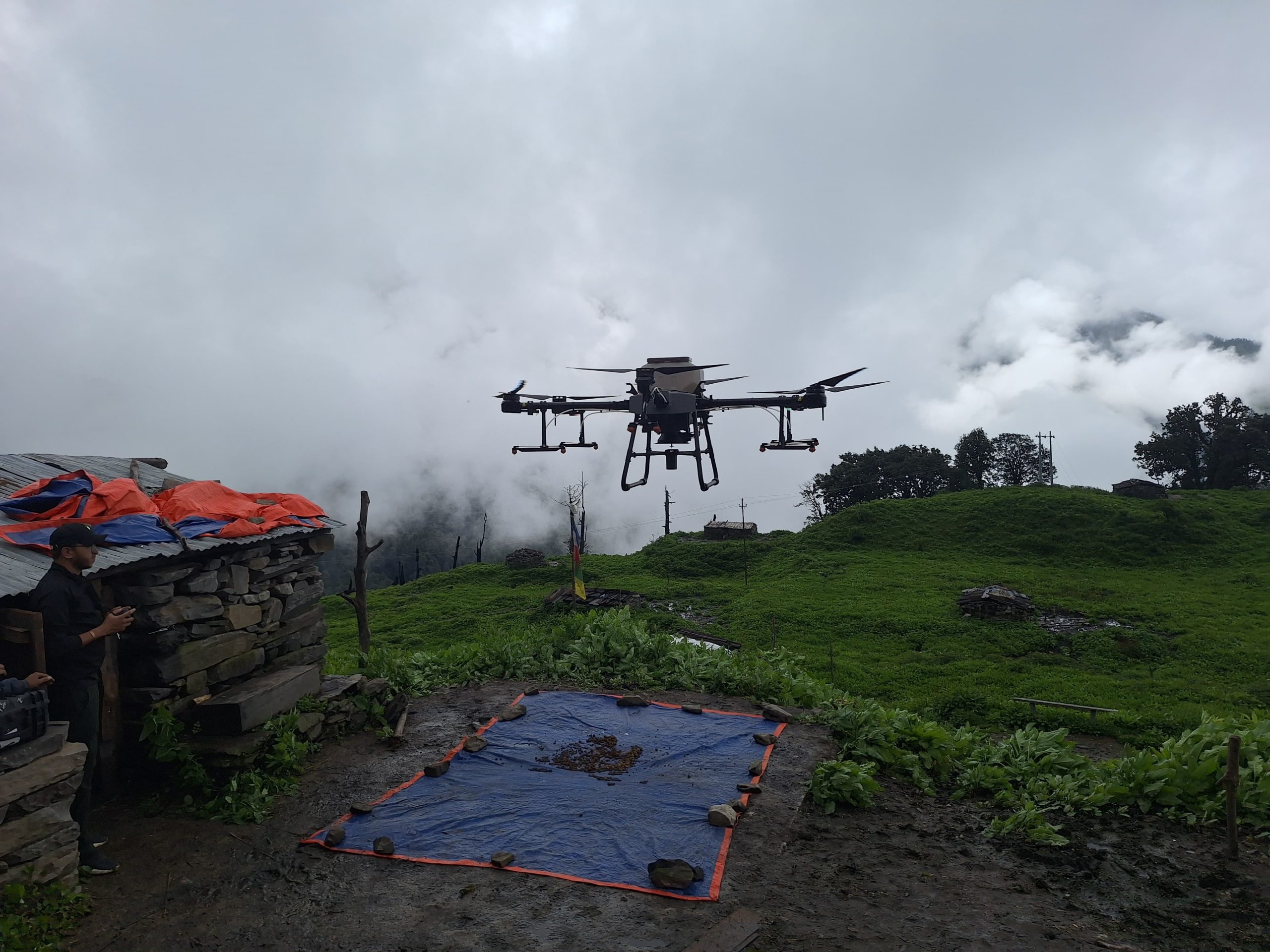 रसुवामा पहिलो पटक ड्रोनबाट वनस्पति र घाँसका बीउ छरियो